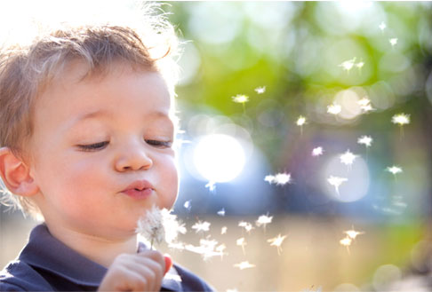Image of child blowing on dandelion